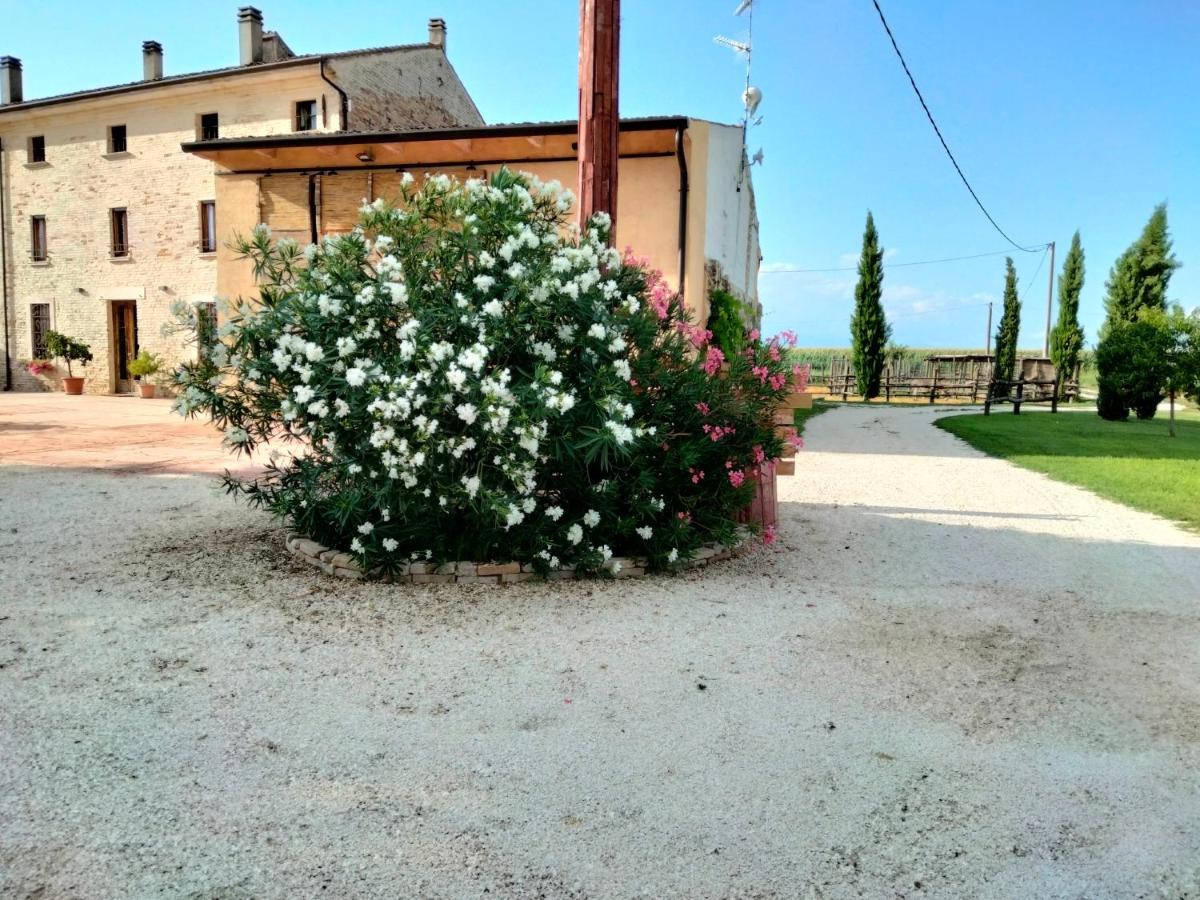 B&B Turistic 7 Castel Goffredo Bagian luar foto
