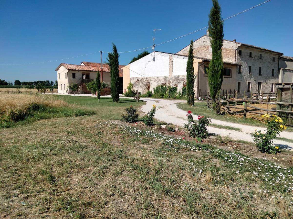B&B Turistic 7 Castel Goffredo Bagian luar foto