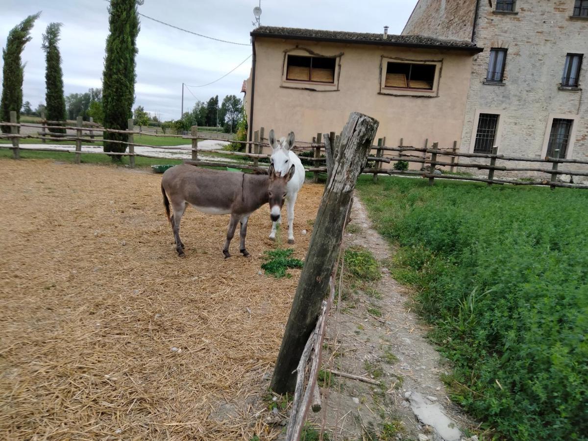 B&B Turistic 7 Castel Goffredo Bagian luar foto