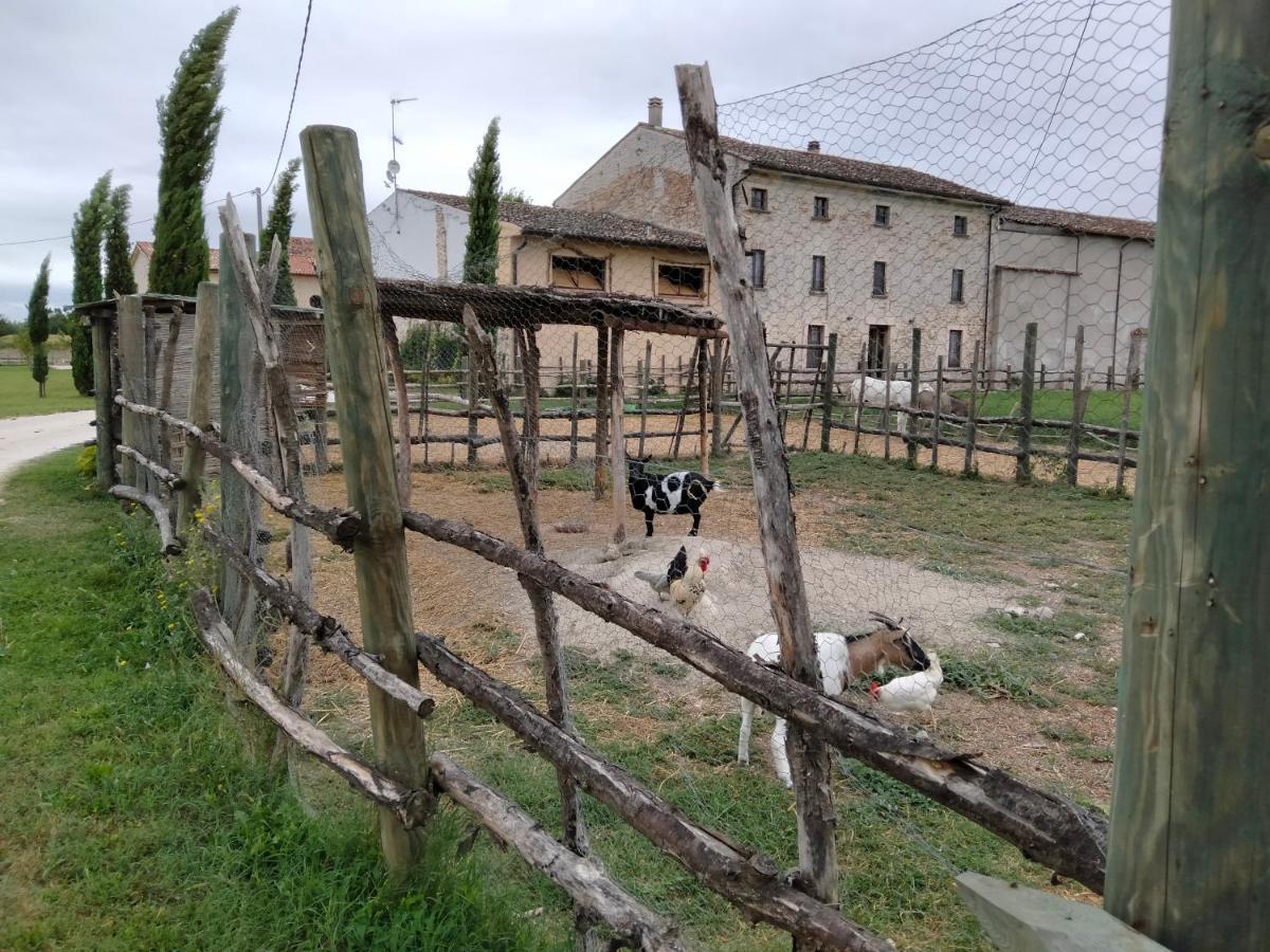 B&B Turistic 7 Castel Goffredo Bagian luar foto